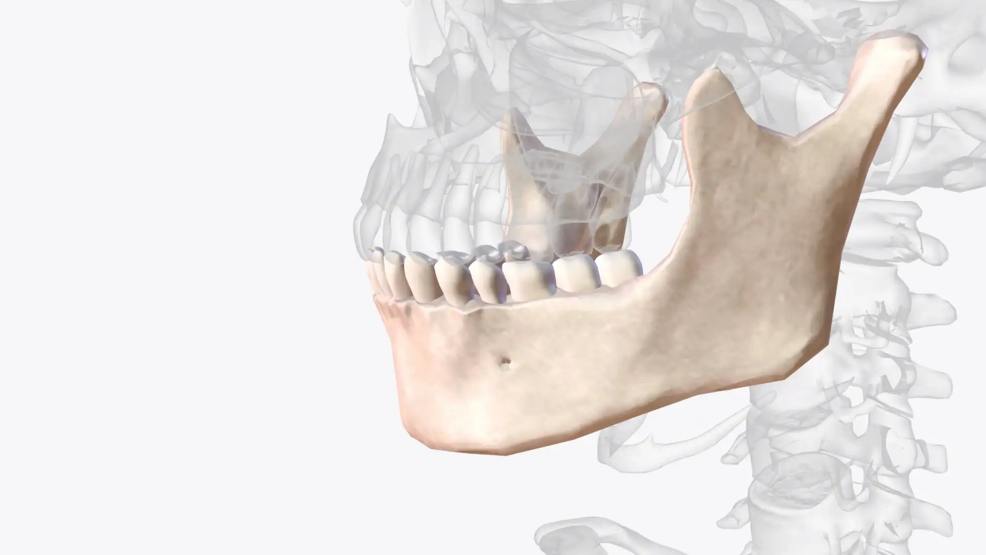 jaw-surgery
